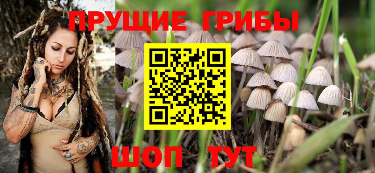 Галлюциногенные грибы MAGIC MUSHROOMS  Вход с VPN  Клин 
